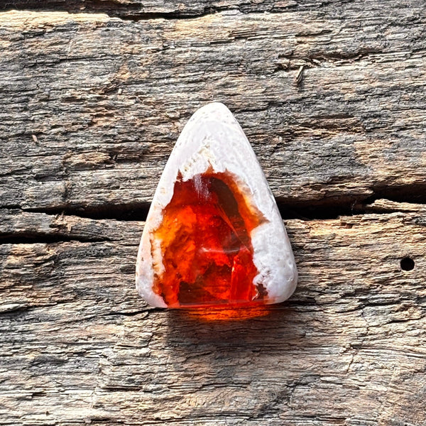 Finding Beauty in Chaos: Mexico, Family, and Cantera Opals